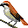 Bird2